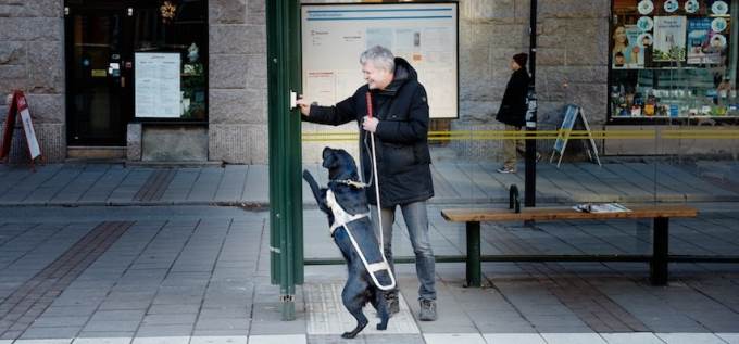 Man med ledarhund trycker på busskursknappen för att få information