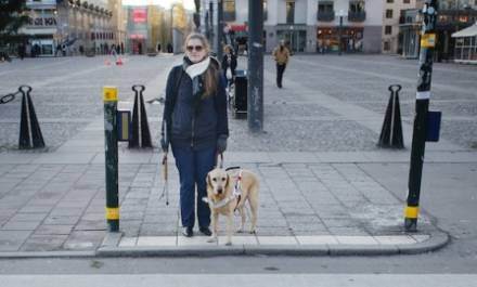 Kvinna med ledarhund vid ett övergångsställe